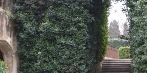 ボーボリ庭園の緑のアーチ