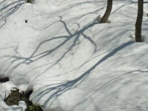 Shigakogen snow shadow