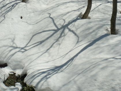 snow shadow in Sigakougen
