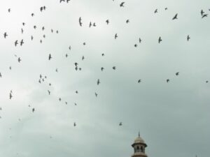 ジャーマー・マスジドの空